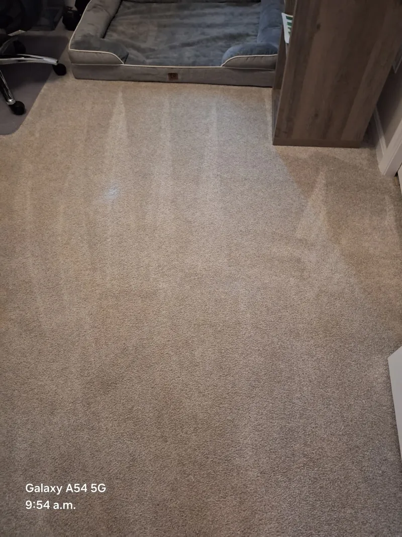 House Cleaning in Louisville, KY